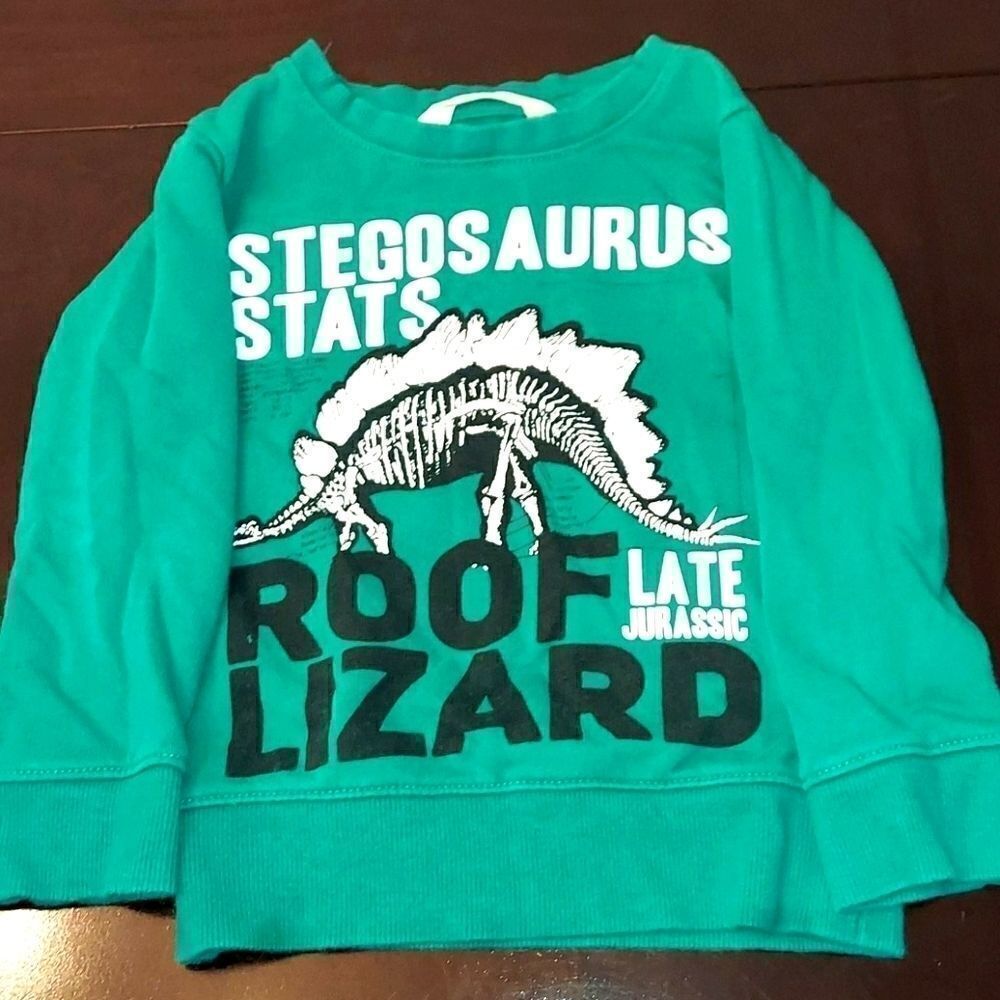 H&M Green Stegosaurus Graphic Sweatshirt 2-4yr